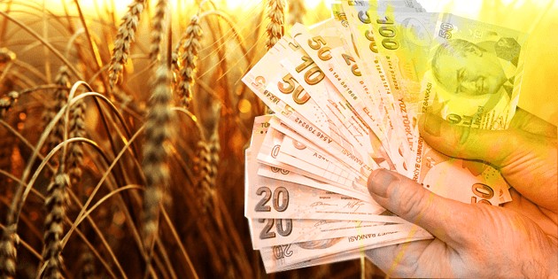 en ucuz tarım yatırımı